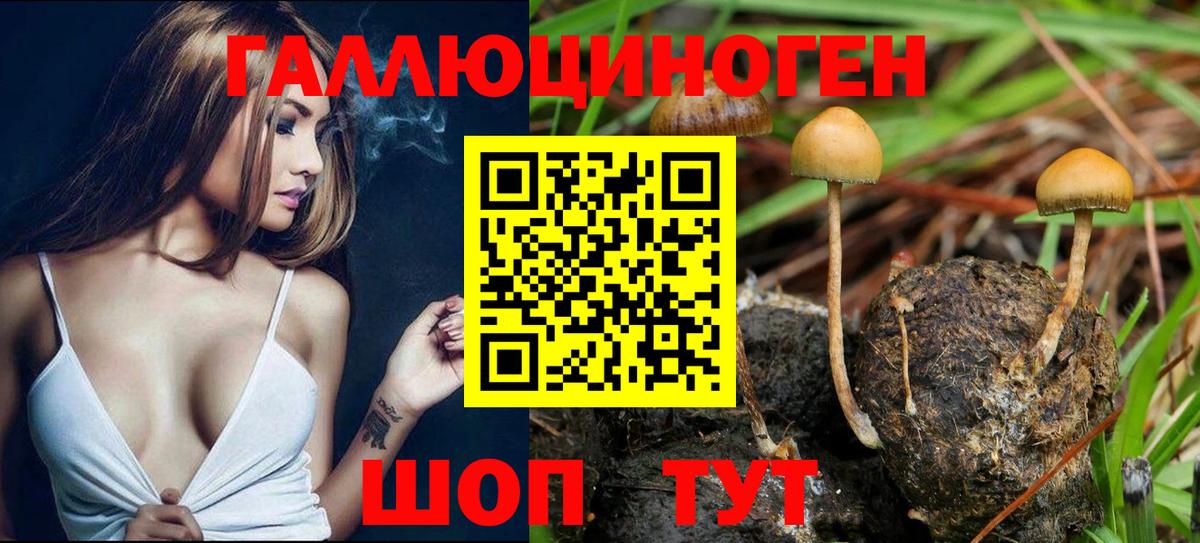 Псилоцибиновые грибы Magic Shrooms  Вход с VPN  наркота  Псилоцибиновые грибы GOLDEN TEACHER  Кызыл 